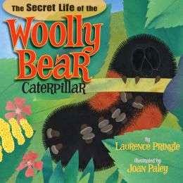 12+ Woolly Bear Secrets For Garden Success